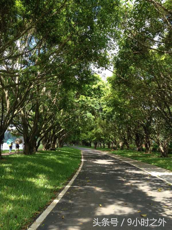 湛江空气质量全国排名,中国大陆最南端在湛江哪个镇