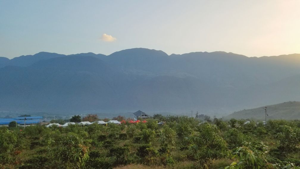 去云南适合买什么茶,云南最有名的咖啡在哪里