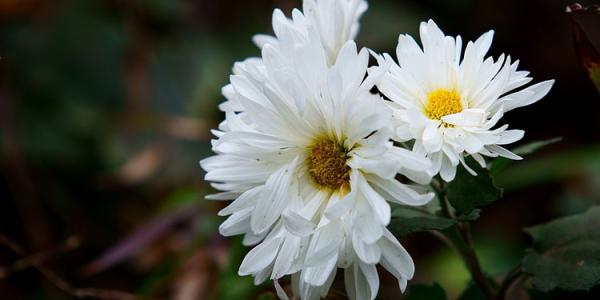 闽南丧葬文化礼仪与禁忌,闽南地区的丧葬风俗的发展