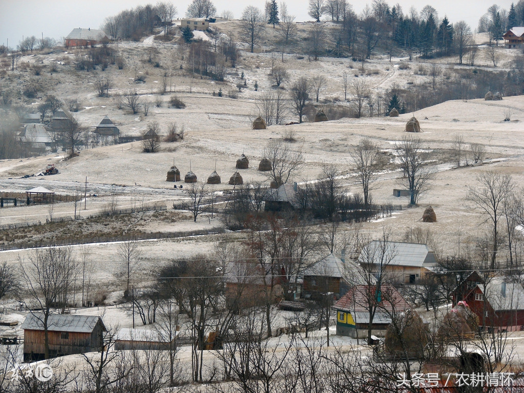 农村户口没有分到田怎么办,没有农村户口可以分土地吗