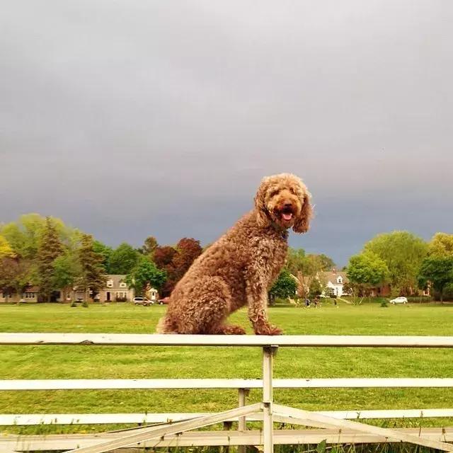 华裔马格南摄影师,马格南最年轻的摄影师