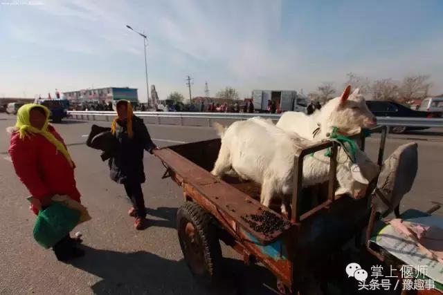 偃师赶会一览表,偃师附近赶会时间表