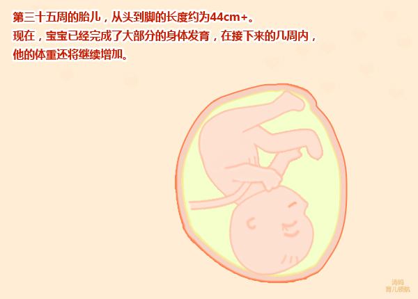 怀孕9周肚皮紧绷是怎么回事,孕妇怀孕9个月肚子特别紧