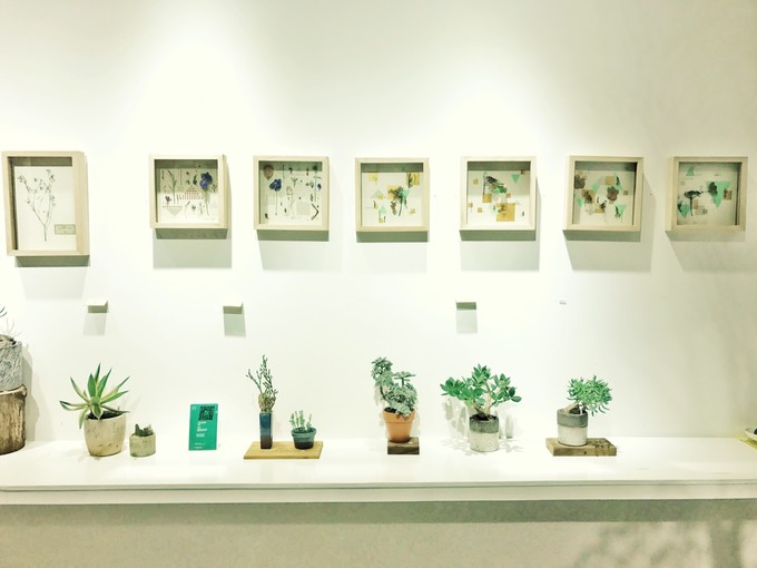 游记成都市内2日行,成都三日吃住行详细攻略