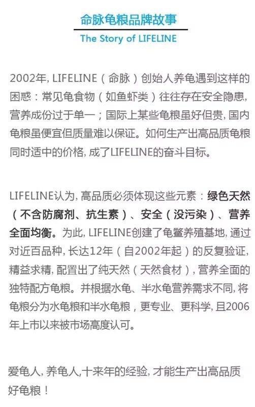 龟市行情回顾,龟市低迷却是新人入手的最好时机