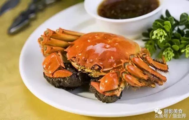 中国的螃蟹,螃蟹大赏的图片