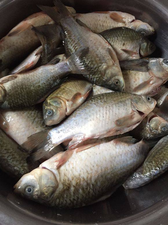 上游放鱼苗下游捞鱼苗,配合默契的团战