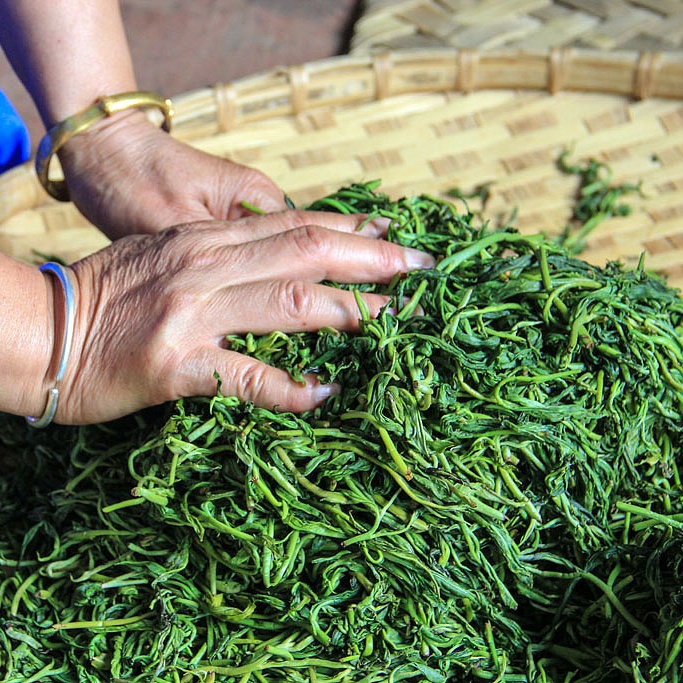 终须滚水走一趟，养就壶中满目春