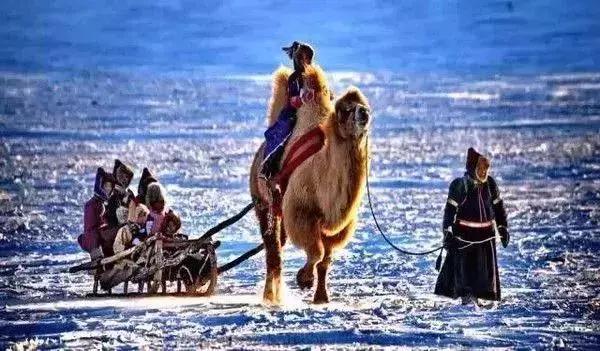 这个元旦，我要从南走到北，看看这大大的中国！