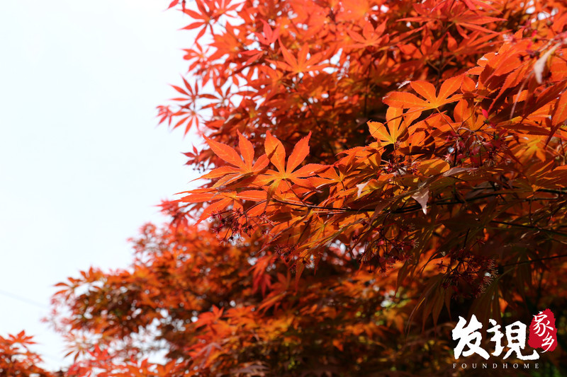 还没有爱上春江，那是因为你没来过这些地方