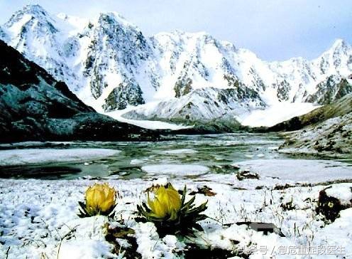 哪些中药怀孕不能用,怀孕的吃中药有没有什么副作用