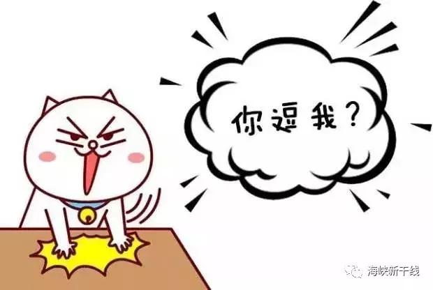 继*党新**青年军被搜捕后，*党新**上海服务处又被绿营盯上了？