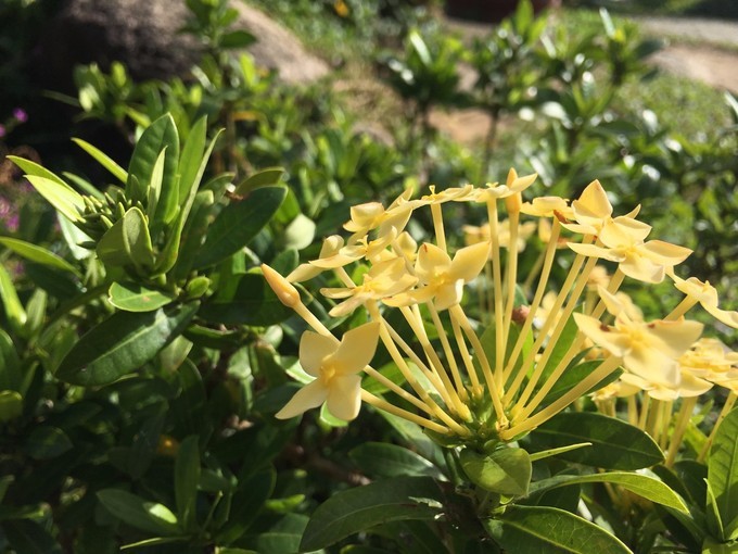 一个人越南攻略,一个人越南自驾游纪录片