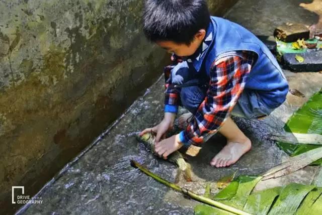 元旦最适合旅行的地方,元旦带家人去哪里玩好