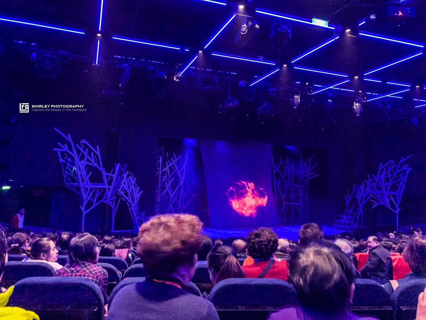 邮轮喜悦号攻略,喜悦号邮轮攻略