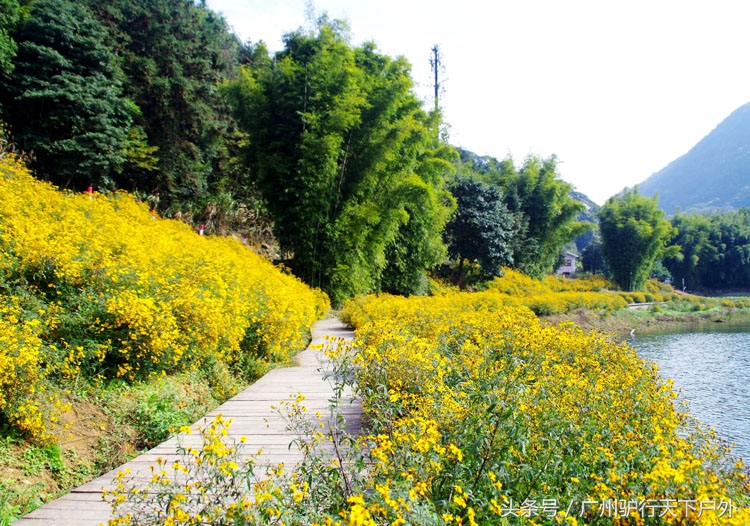 从化石门公园赏红叶旅游团,从化石门森林公园赏梅花路线