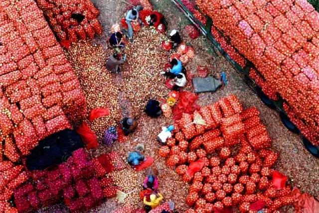 沈阳有名的批发市场有哪些,沈阳哪个地方的批发市场便宜