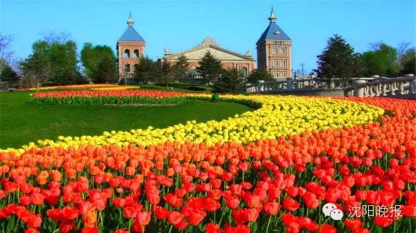 沈阳最漂亮的十大美人,沈阳女孩最漂亮的照片