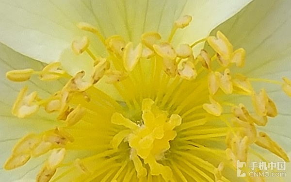 lgg5处理器好用吗,LGg5参数