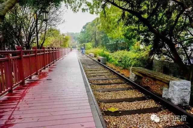 春节厦门旅游拍照适合怎样穿搭,去厦门怎么穿搭拍照好看