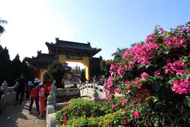 深圳龙岗最值得入手的地方,来深圳龙岗必去的地方