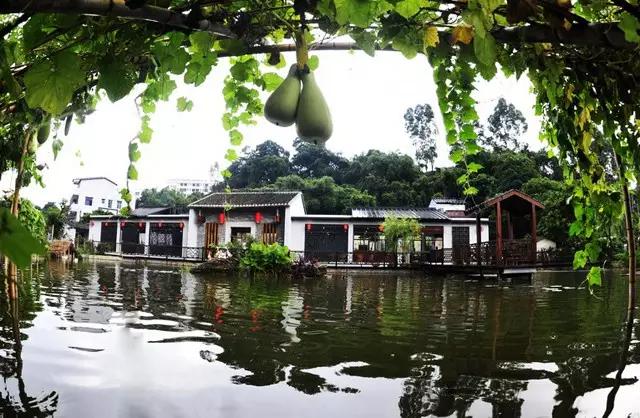 深圳龙岗最值得入手的地方,来深圳龙岗必去的地方