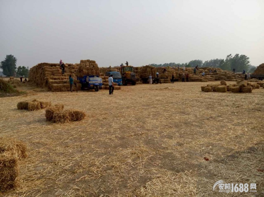 玉龙打捆机捡拾器,玉龙除尘打捆机