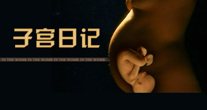 适合孕妇看的电影推荐,孕期电影