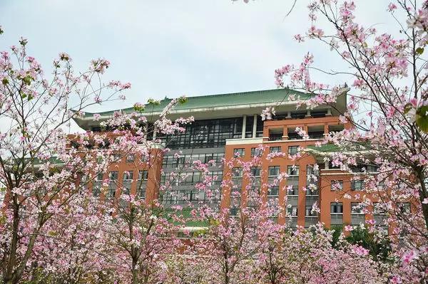 广州遛娃周边游玩好去处,广州市区遛娃打卡好玩的地方