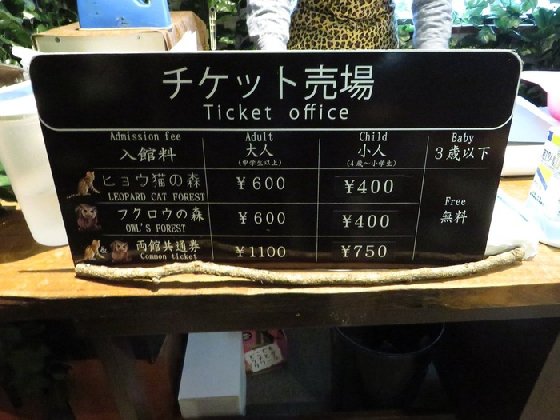 令人不禁着迷的豹纹魅力！日本首间“豹猫咖啡厅”人气开张