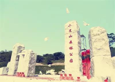 最美四月天，快来体验不一样的金州吧!最新时刻表值得收藏！