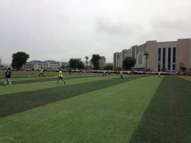 前国足门将区楚良哪里人,区楚良国足