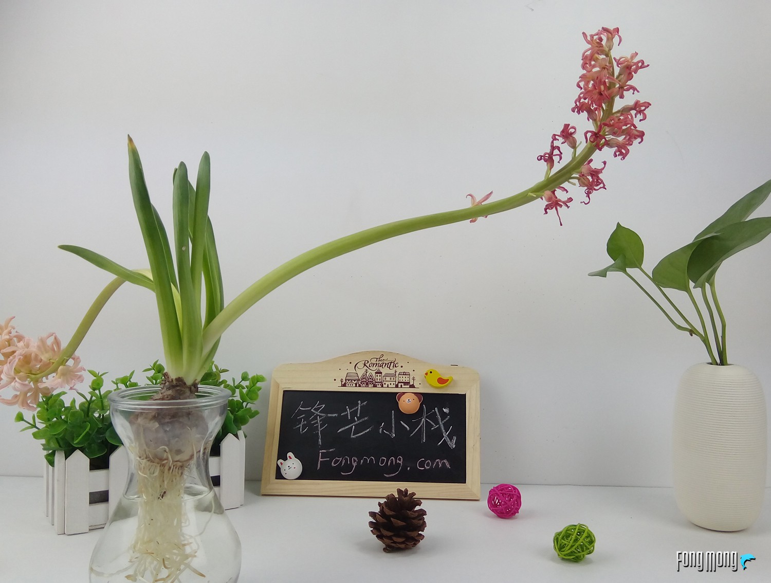 360手机f4全网通版评测,360手机f4s-a02