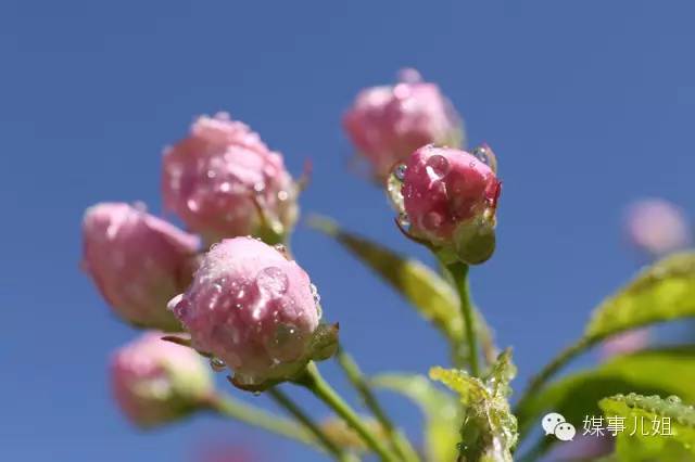包钢三中真的要改名吗,包钢三中整体成绩怎么样