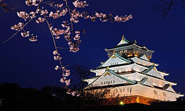 日本电商最新消息,日本电商为什么火爆呢现在