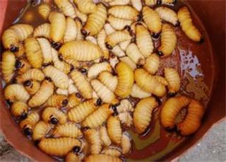 80后儿时的美食记忆,80后记忆中的美味零食你吃过几种