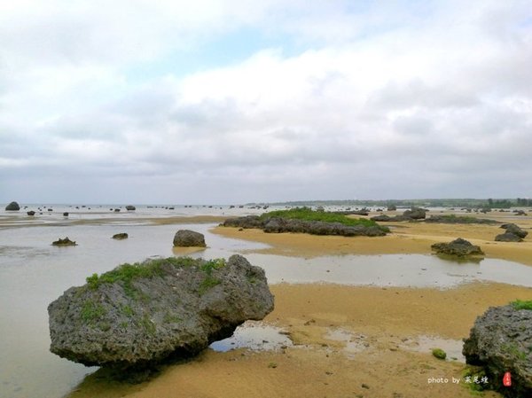 珊瑚海日本,陪你去看海底世界