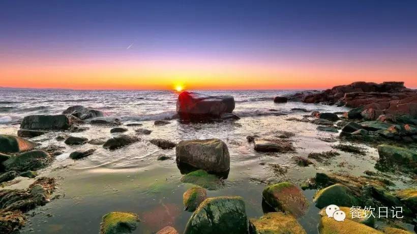 餐厅圣诞节营销方案,圣诞节营销活动策划案