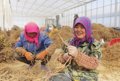 创新思维创新理念创新发展,创新新发展理念构建新发展格局