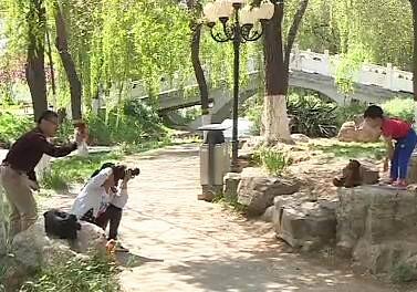 河北石家庄大风车儿童摄影,石家庄大风车儿童摄影中华大街