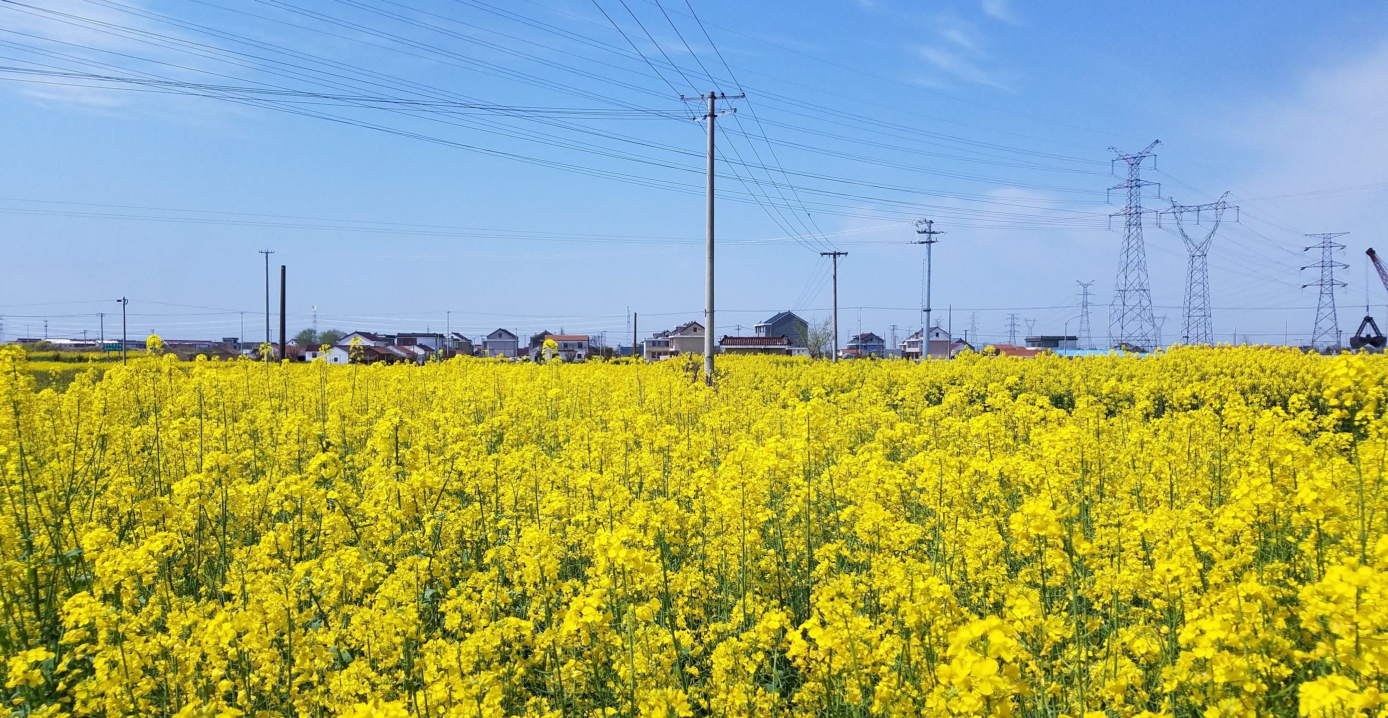 三星s7对比5s,三星s7e和note7
