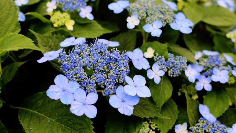 全过程记录,揭秘廉价济州岛跟团游背后的真相