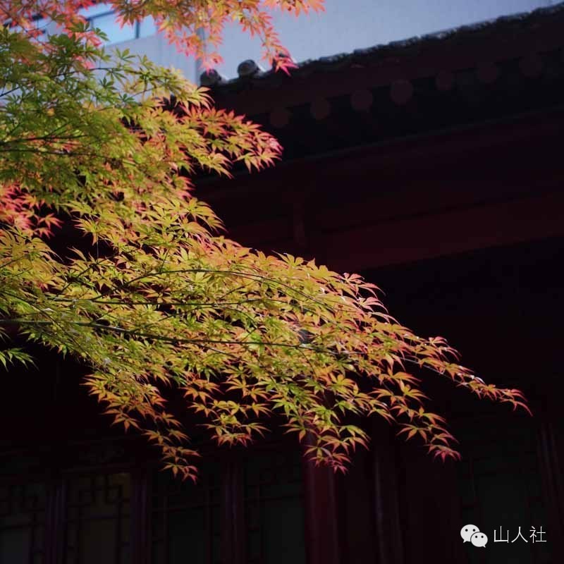唐朝皇家寺庙罔极寺,发现古城遗址