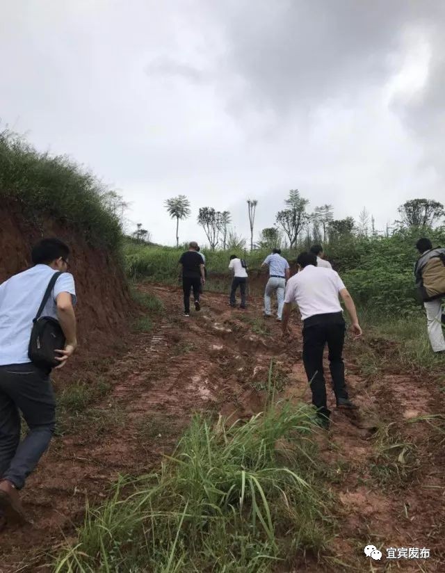 宜宾市国土自然资源厅,宜宾市国土资源局公示