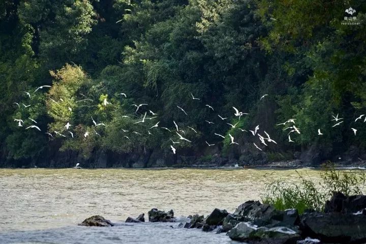 无锡千年古村尧歌里火了,无锡古村尧歌里在哪里