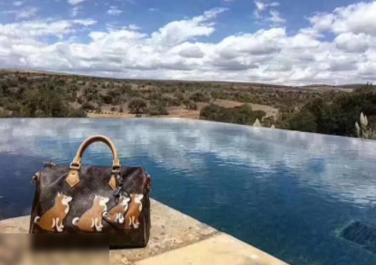 lv狗年限定包包价格,lv经典款黑色包包图片和价格大全