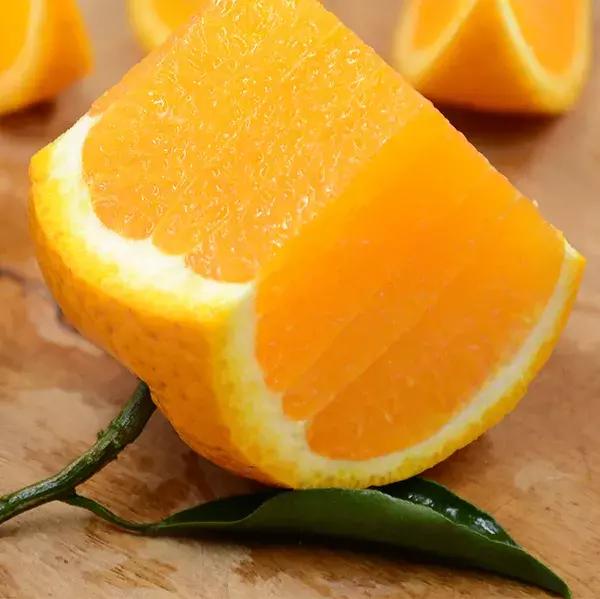 顺昌是中国芦柑之乡，顺昌的柑橘怎么样？看这里