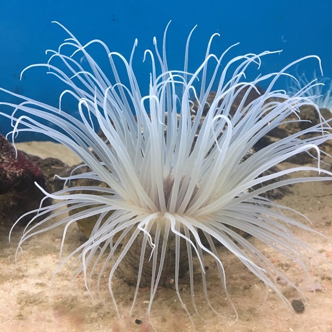 一个人越南攻略,一个人越南自驾游纪录片