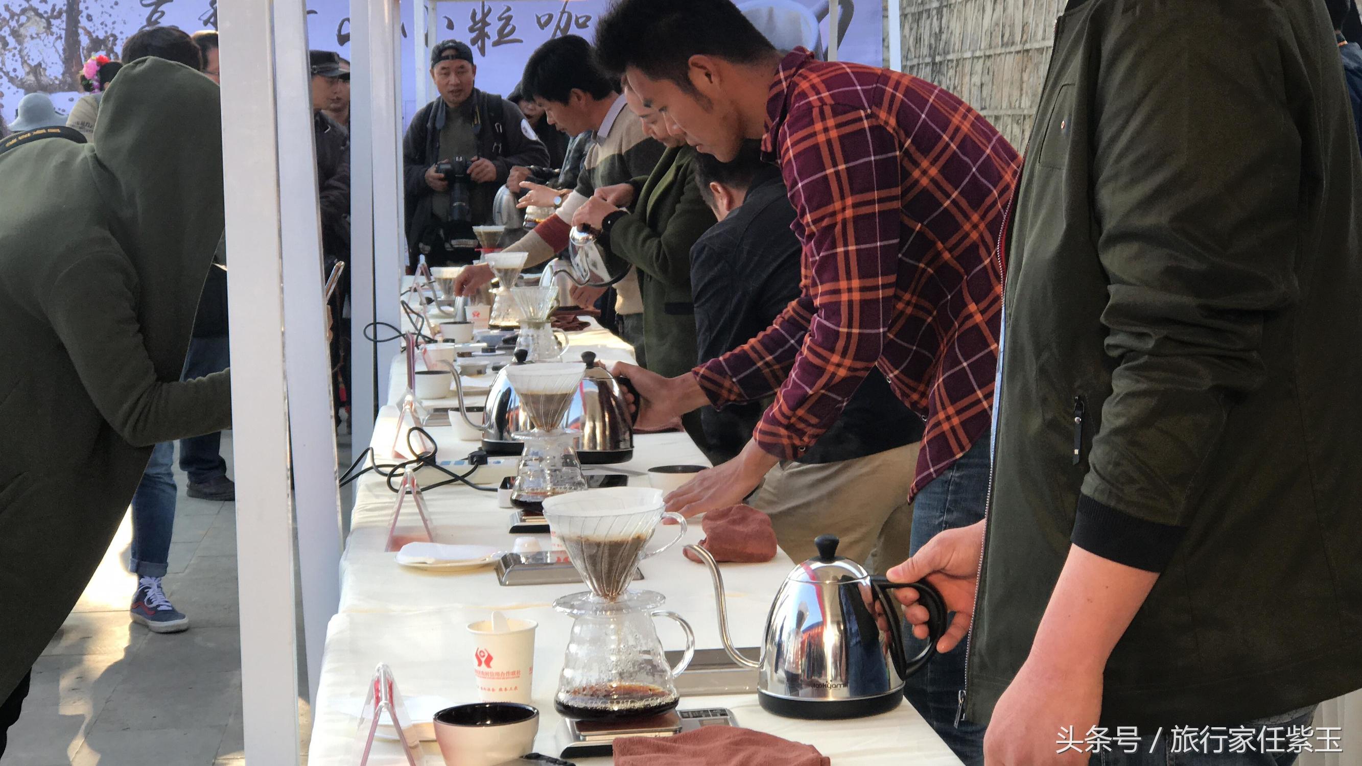 猫屎咖啡和普通咖啡有什么区别呢,猫屎咖啡和云南小粒咖啡哪个好