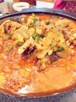 毕业旅行致青春,毕业旅行之深圳